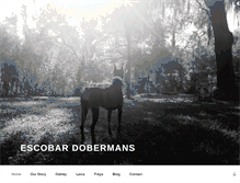 Tablet Screenshot of escobardobermans.com